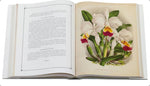 Load image into Gallery viewer, LINDENIA Iconography of Orchids 1885-1906 - 5 volumi
