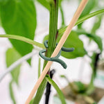 Carica l'immagine nel visualizzatore Galleria, Clips ferma-stelo