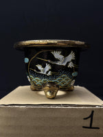 Carica l'immagine nel visualizzatore Galleria, Vaso per Neofinetia - Nishikibachi 錦鉢 - Japan Imported - misura 3.5" cod.1