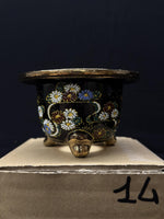 Carica l'immagine nel visualizzatore Galleria, Vaso per Neofinetia - Nishikibachi 錦鉢 - Japan Imported - misura 3.3" cod.14