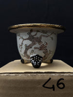 Carica l'immagine nel visualizzatore Galleria, Vaso per Neofinetia - Nishikibachi 錦鉢 - Japan Imported - misura 3.3" cod.46