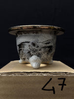 Carica l'immagine nel visualizzatore Galleria, Vaso per Neofinetia - Nishikibachi 錦鉢 - Japan Imported - misura 3.3" cod.47