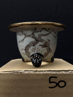 Carica l'immagine nel visualizzatore Galleria, Vaso per Neofinetia - Nishikibachi 錦鉢 - Japan Imported - misura 3.3" cod.50