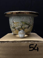 Carica l'immagine nel visualizzatore Galleria, Vaso per Neofinetia - Nishikibachi 錦鉢 - Japan Imported - misura 3.5" cod.54