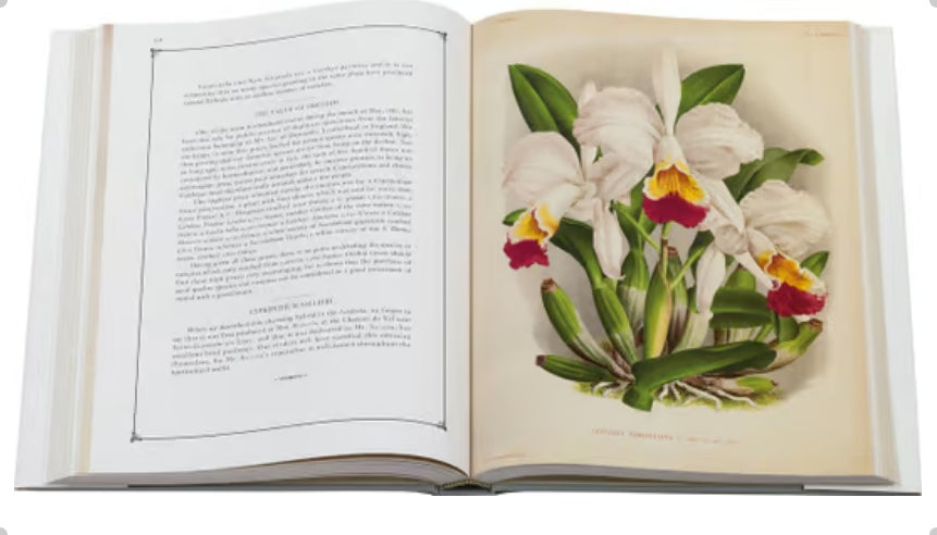 LINDENIA Iconography of Orchids 1885-1906 - 5 volumi
