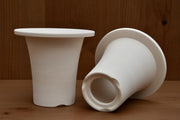 Vaso per Neofinetia - Japan Imported