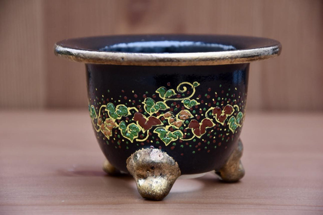 Vaso per Neofinetia da esposizione a coppa - Japan Imported