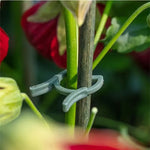 Carica l'immagine nel visualizzatore Galleria, Clips ferma-stelo