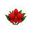 Giulio Celandroni Orchidee logo