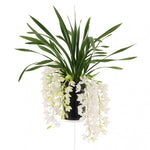 Carica l&#39;immagine nel visualizzatore Galleria, Cymbidium Sarah Jean &#39;Ice Cascade&#39;
