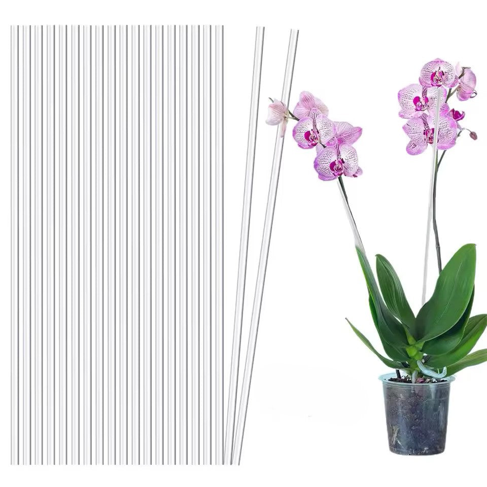 Bacchette in acrilico per Orchidee