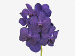 Load image into Gallery viewer, Vanda Deep Blue
