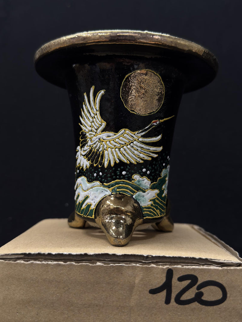 Vaso per Neofinetia - Nishikibachi 錦鉢 - Japan Imported - misura 3.3" cod.120