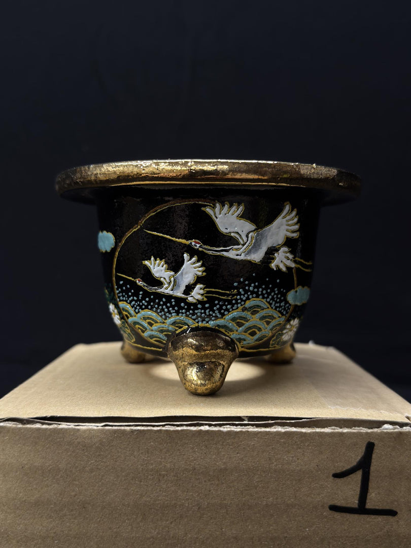 Vaso per Neofinetia - Nishikibachi 錦鉢 - Japan Imported - misura 3.5" cod.1