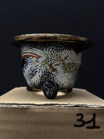 Carica l&#39;immagine nel visualizzatore Galleria, Vaso per Neofinetia - Nishikibachi 錦鉢 - Japan Imported - misura 3.5&quot; cod.31
