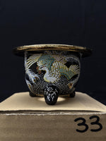 Carica l&#39;immagine nel visualizzatore Galleria, Vaso per Neofinetia - Nishikibachi 錦鉢 - Japan Imported - misura 3.3&quot; cod.33
