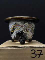 Vaso per Neofinetia - Nishikibachi 錦鉢 - Japan Imported - misura 3.5