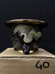 Vaso per Neofinetia - Nishikibachi 錦鉢 - Japan Imported - misura 3.5