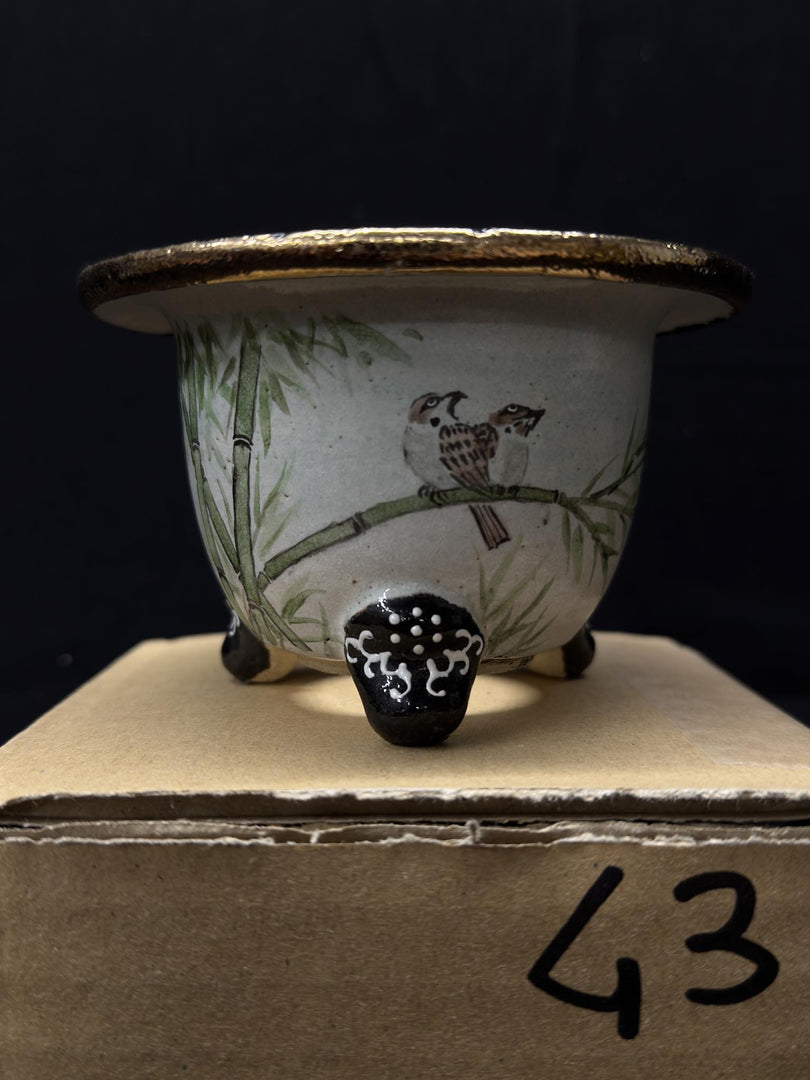 Vaso per Neofinetia - Nishikibachi 錦鉢 - Japan Imported - misura 3.3" cod.43