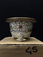 Carica l&#39;immagine nel visualizzatore Galleria, Vaso per Neofinetia - Nishikibachi 錦鉢 - Japan Imported - misura 3.3&quot; cod.45

