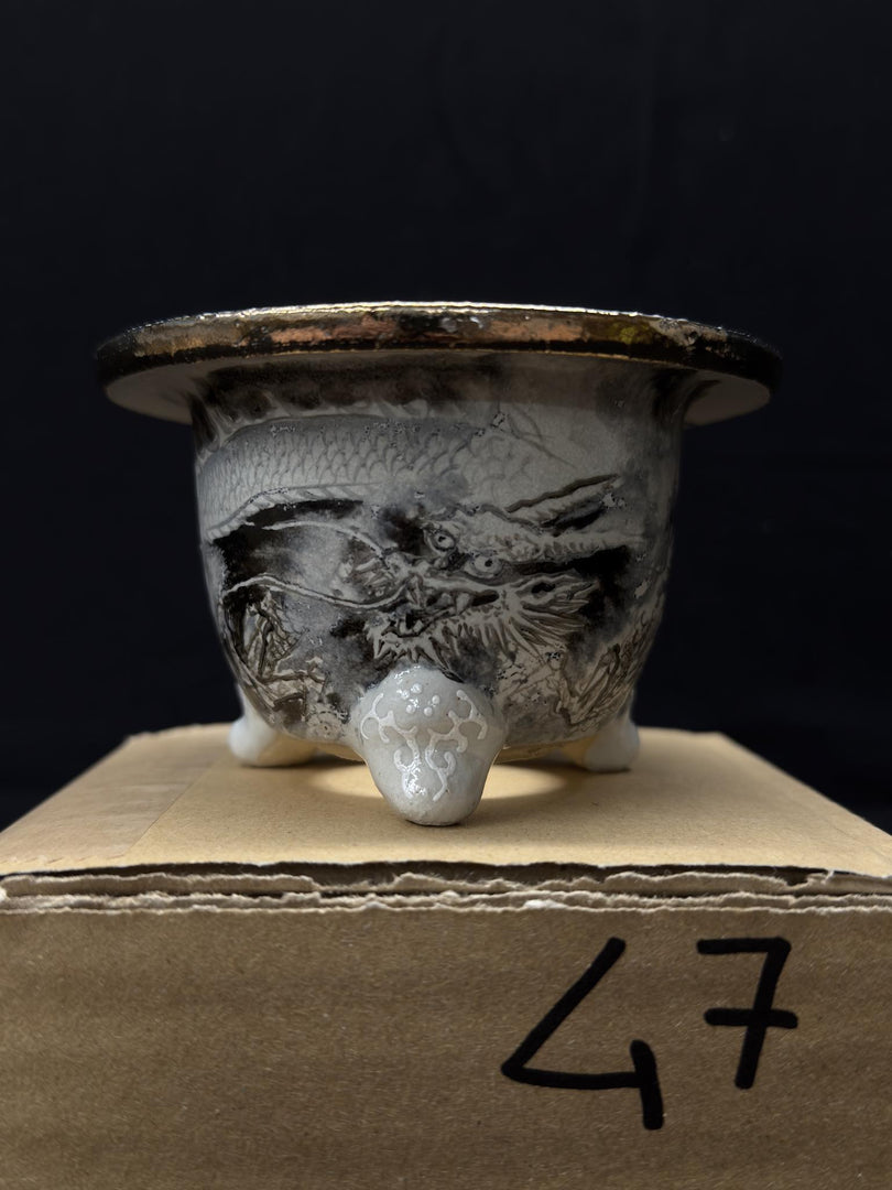 Vaso per Neofinetia - Nishikibachi 錦鉢 - Japan Imported - misura 3.3" cod.47