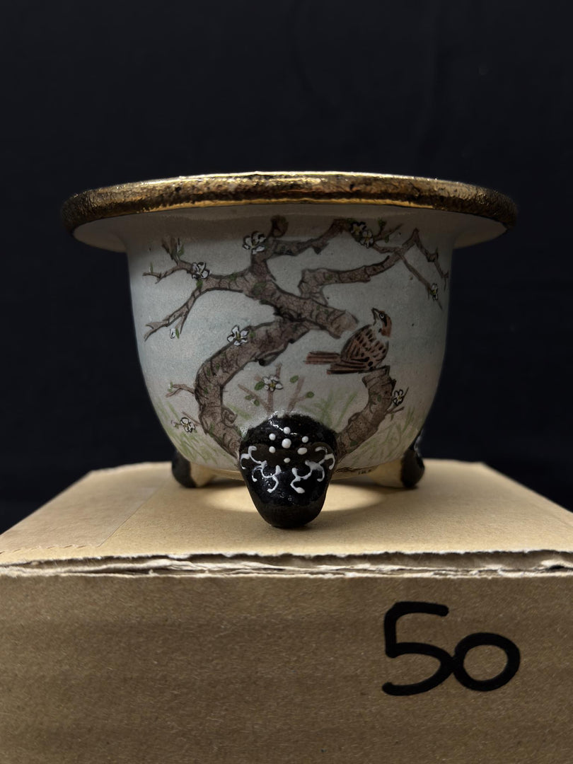 Vaso per Neofinetia - Nishikibachi 錦鉢 - Japan Imported - misura 3.3" cod.50