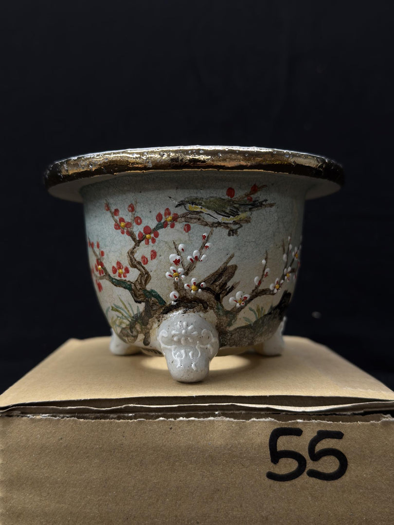 Vaso per Neofinetia - Nishikibachi 錦鉢 - Japan Imported - misura 3.5" cod.55