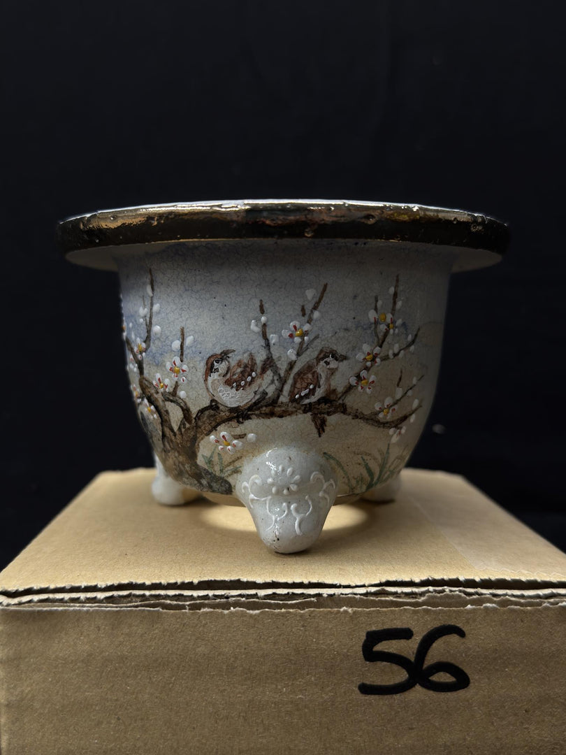 Vaso per Neofinetia - Nishikibachi 錦鉢 - Japan Imported - misura 3.5" cod.56