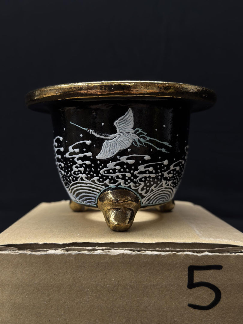 Vaso per Neofinetia - Nishikibachi 錦鉢 - Japan Imported - misura 3.5" cod.5