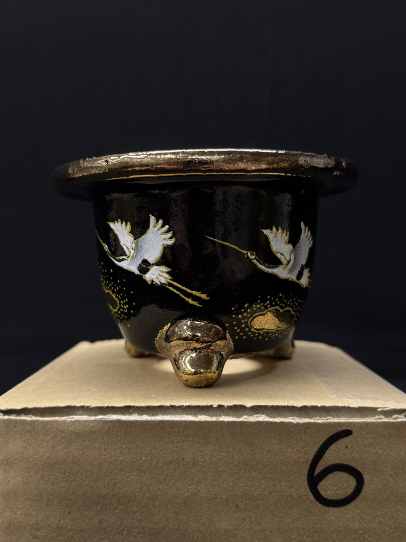 Vaso per Neofinetia - Nishikibachi 錦鉢 - Japan Imported - misura 3.5" cod.6