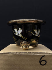 Vaso per Neofinetia - Nishikibachi 錦鉢 - Japan Imported - misura 3.5