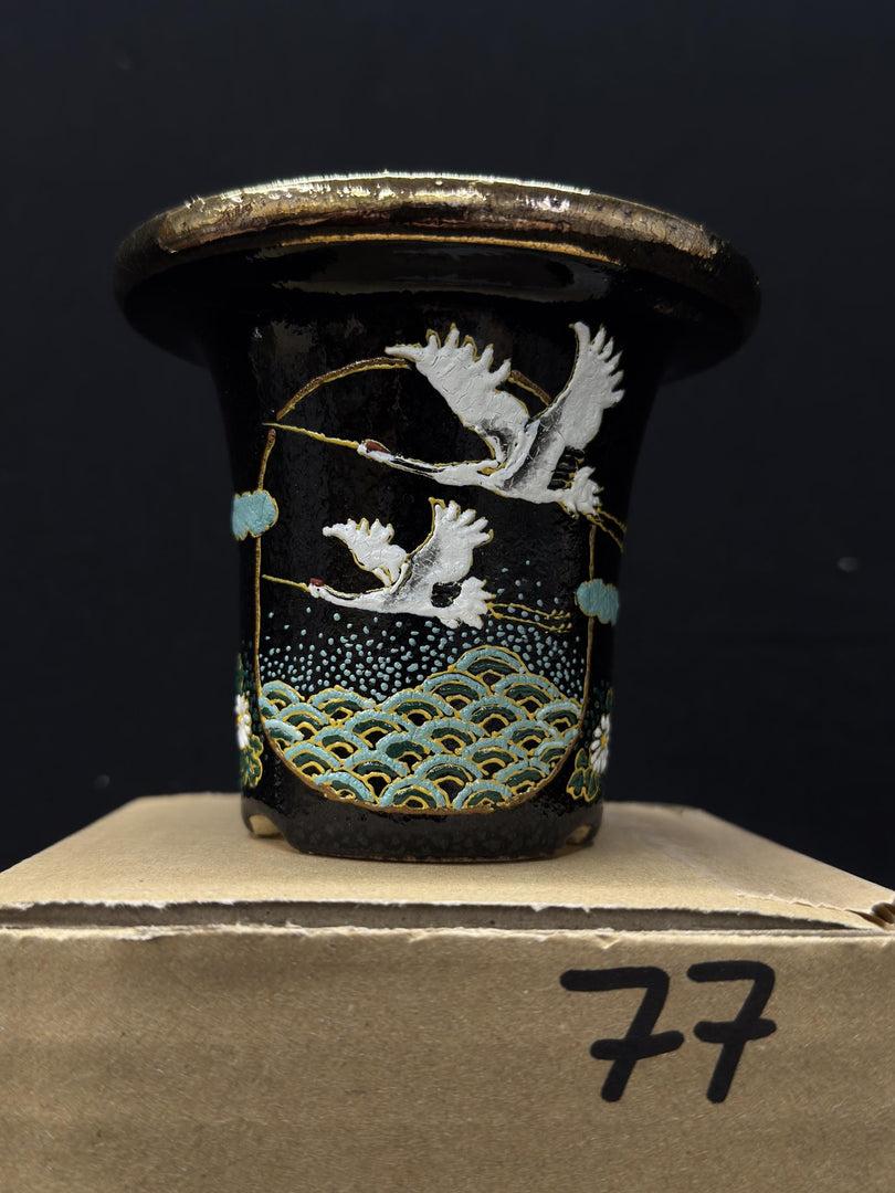 Vaso per Neofinetia - Nishikibachi 錦鉢 - Japan Imported - misura 3.5" cod.77