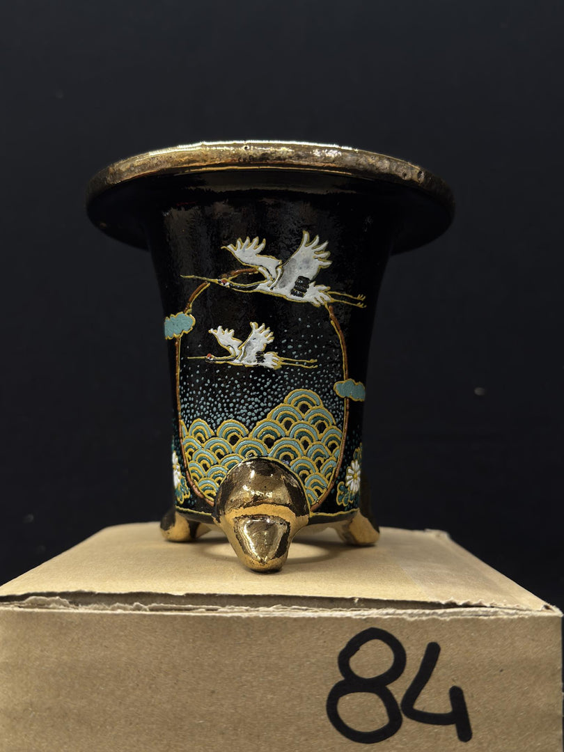 Vaso per Neofinetia - Nishikibachi 錦鉢 - Japan Imported - misura 3.3" cod.84