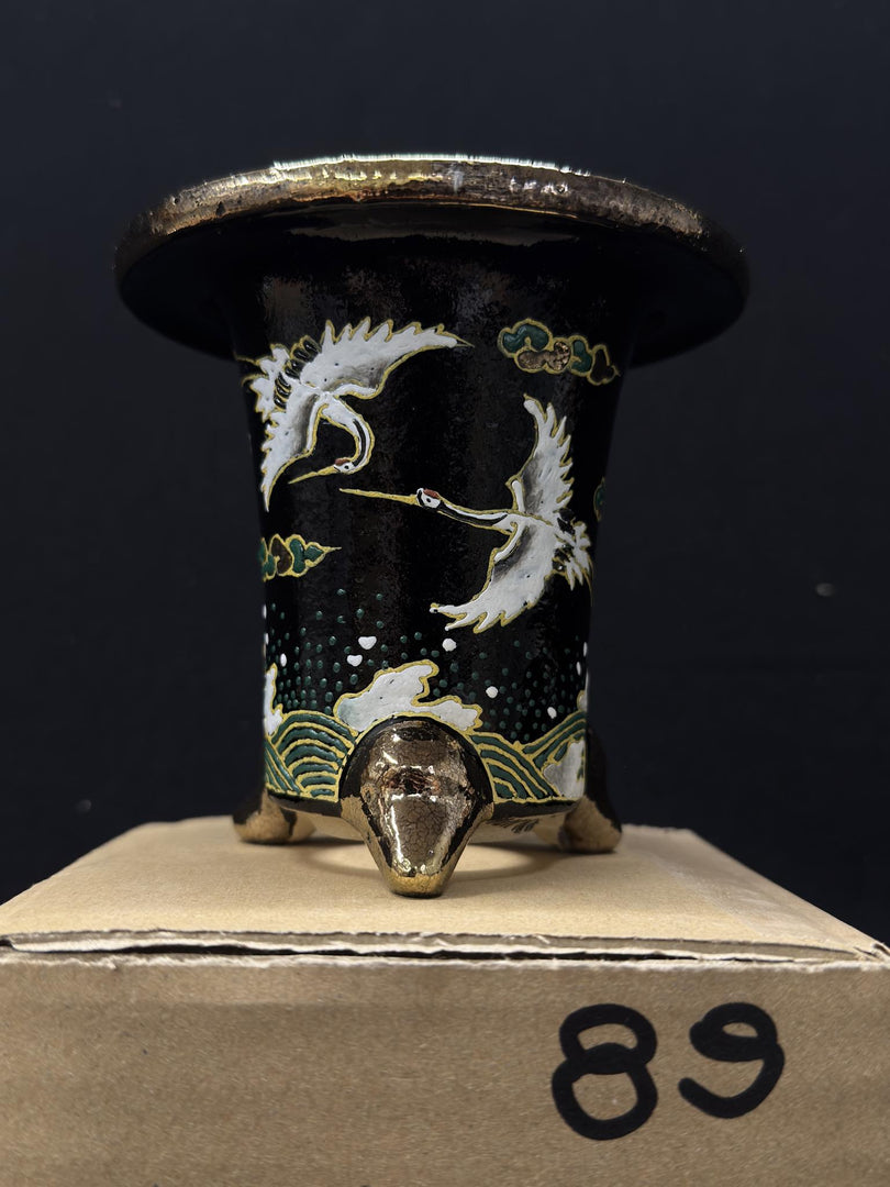 Vaso per Neofinetia - Nishikibachi 錦鉢 - Japan Imported - misura 3.5" cod.89