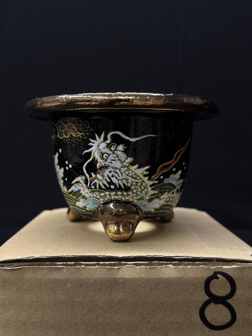 Vaso per Neofinetia - Nishikibachi 錦鉢 - Japan Imported - misura 3.5" cod.8