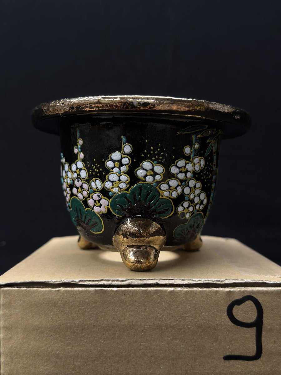 Cod Vasnev Vase for Neofinetia - Nishikibachi 錦鉢 - Japan Imported - size 3.5