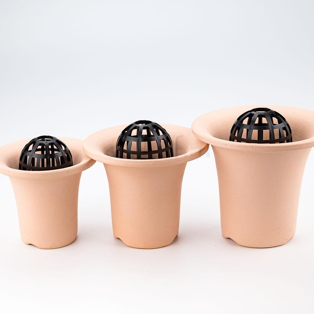 Gabbietta per Neofinetia