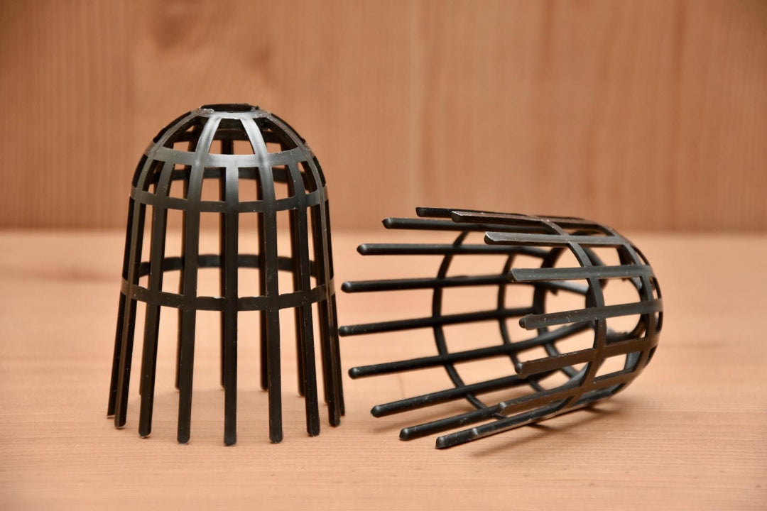 Gabbietta per Neofinetia