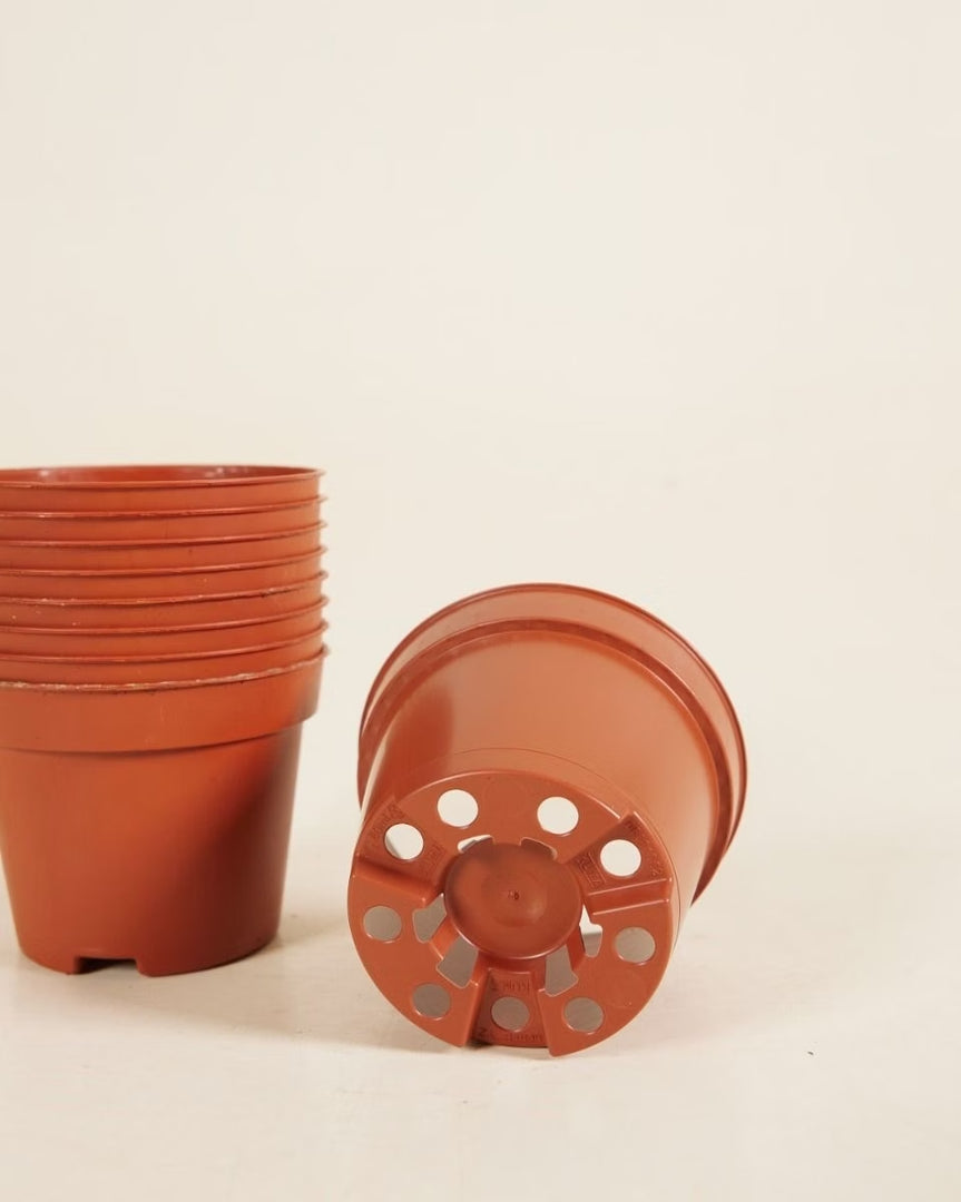 Vaso marrone