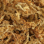 Carica l&#39;immagine nel visualizzatore Galleria, Sfagno 250 gr
