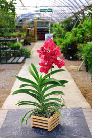 Gancio appendicestelli in acciaio